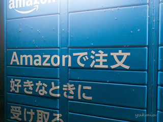 夏の夜 Amazon Hub ロッカーは虫だらけ