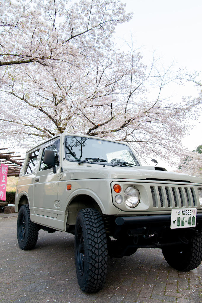 20190406171809_0.jpg 家山桜トンネル