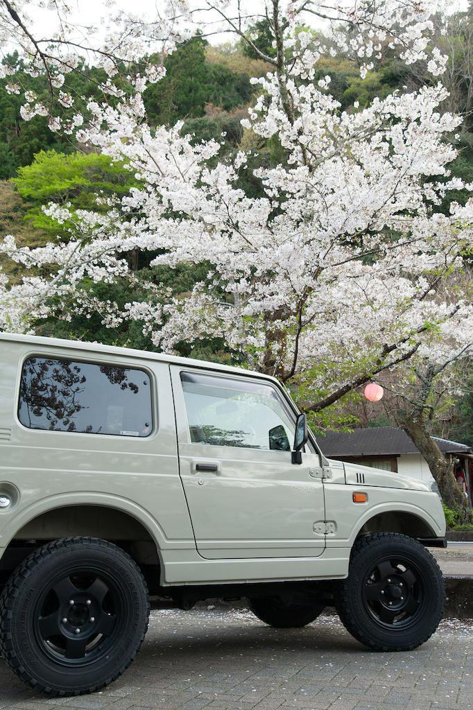 20190406172148_0.jpg 家山桜トンネルとジムニー